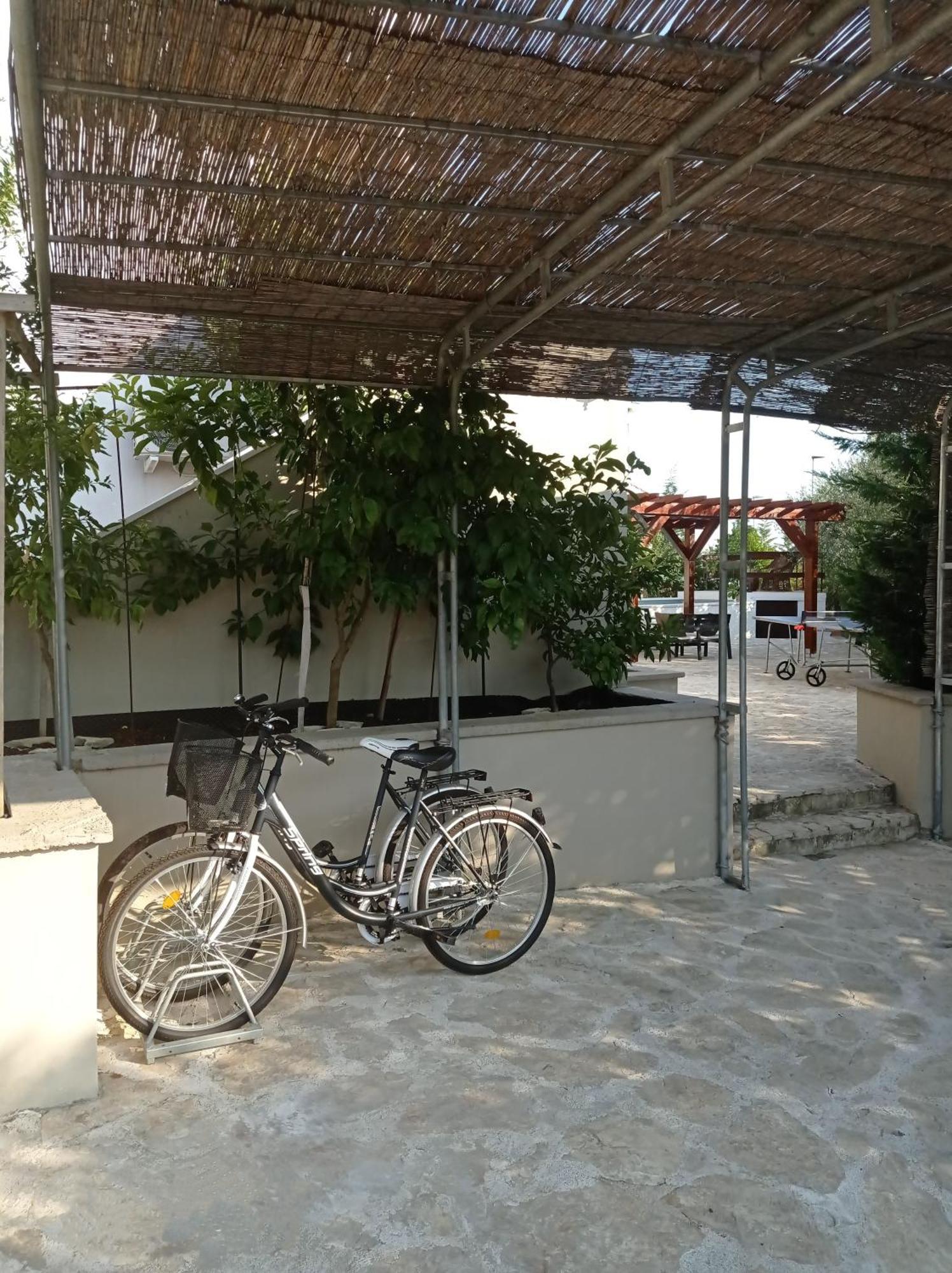 Villa Niko With Private Swimming Pool Ζαντάρ Εξωτερικό φωτογραφία